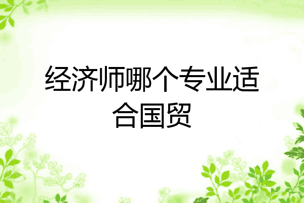 经济师哪个专业适合国贸