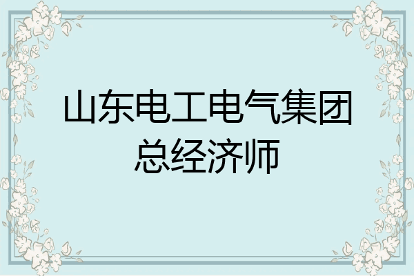 山东电工电气集团总经济师