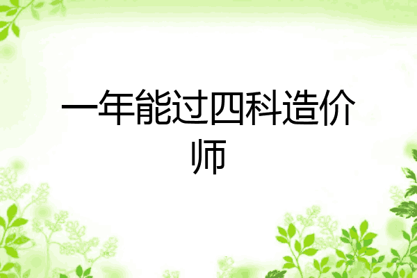 一年能过四科造价师