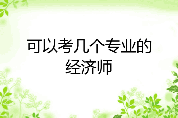可以考几个专业的经济师