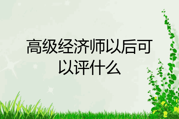 高级经济师以后可以评什么