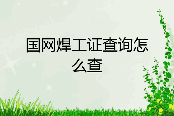 国网焊工证查询怎么查