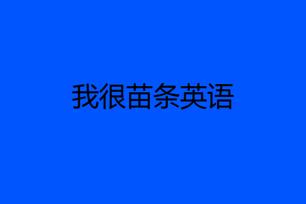 我很苗条英语
