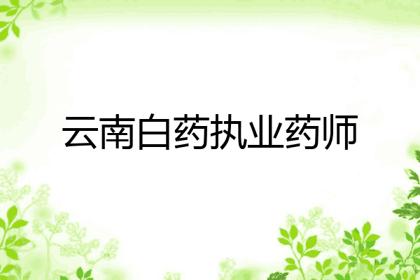 云南白药执业药师