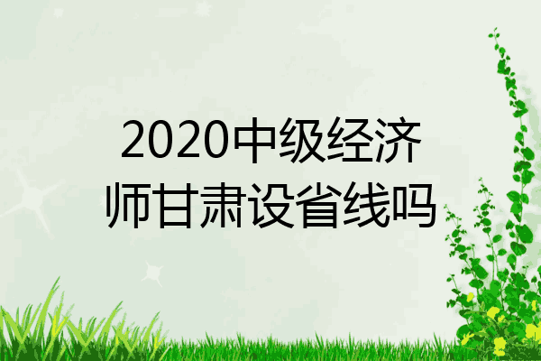 2020中级经济师甘肃设省线吗
