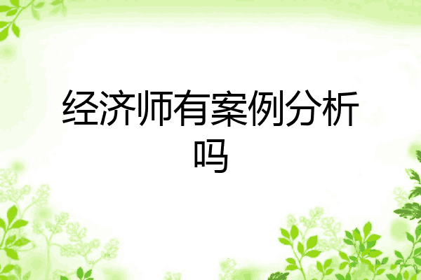 经济师有案例分析吗