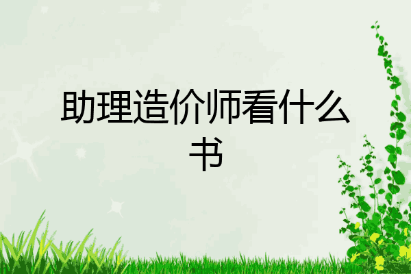 助理造价师看什么书