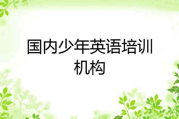 国内少年英语培训机构