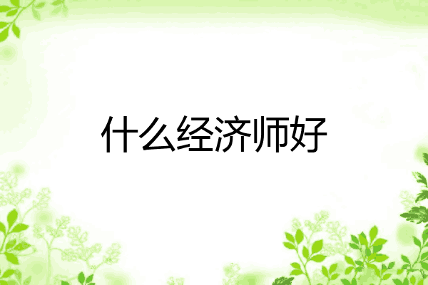 什么经济师好