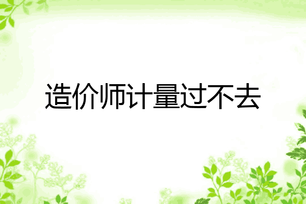造价师计量过不去
