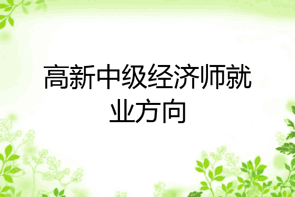 高新中级经济师就业方向