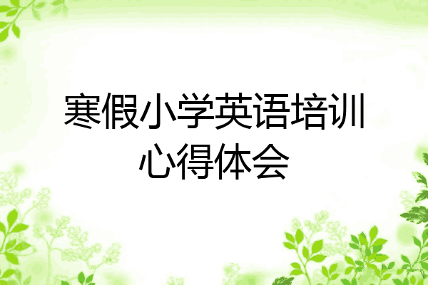 寒假小学英语培训心得体会