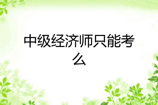 中级经济师只能考么