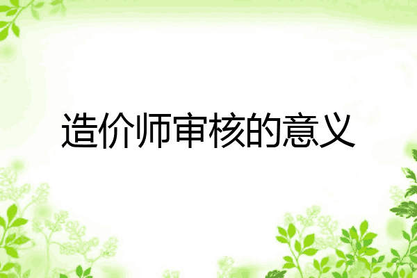 造价师审核的意义