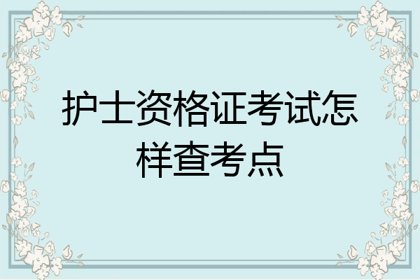护士资格证考试怎样查考点