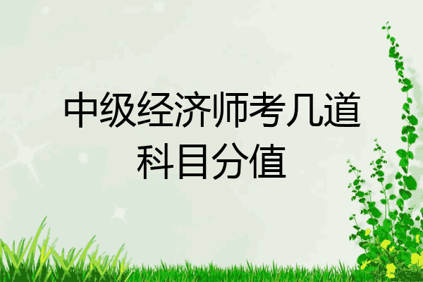 中级经济师考几道科目分值