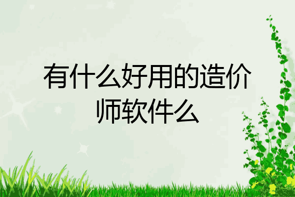 有什么好用的造价师软件么