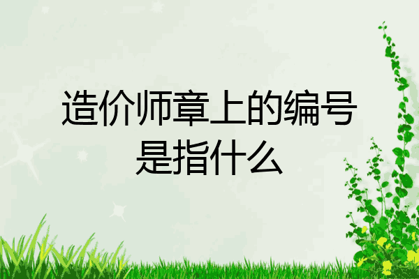 造价师章上的编号是指什么