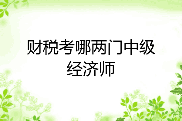 财税考哪两门中级经济师