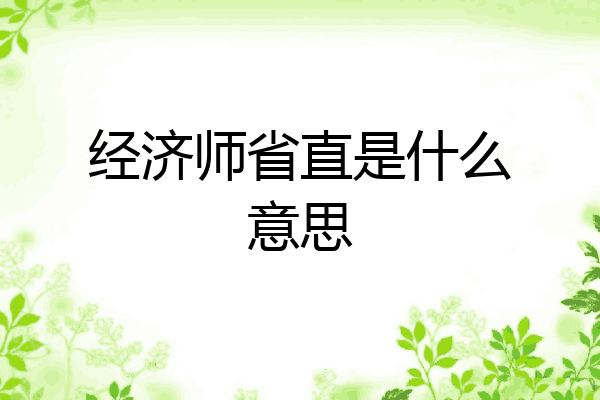 经济师省直是什么意思