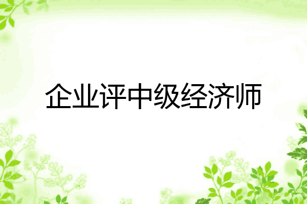 企业评中级经济师