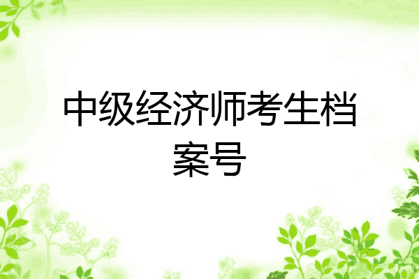 中级经济师考生档案号