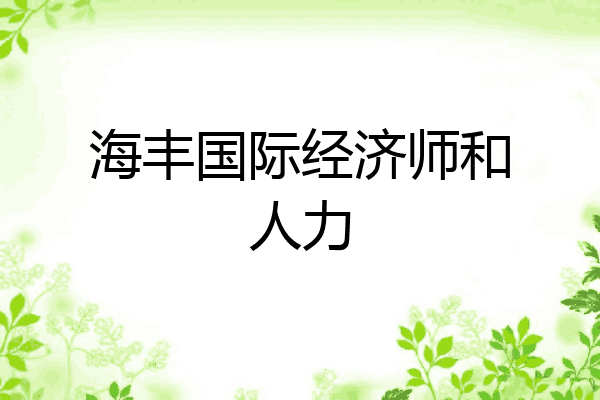 海丰国际经济师和人力