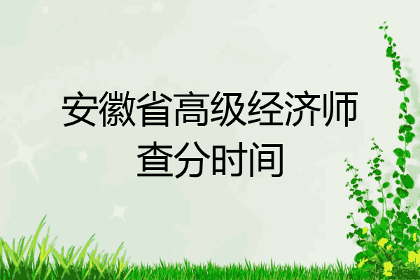 安徽省高级经济师查分时间