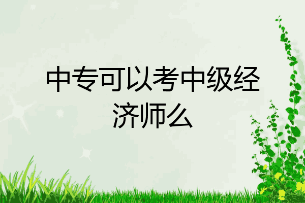 中专可以考中级经济师么