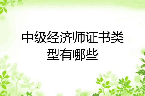 中级经济师证书类型有哪些
