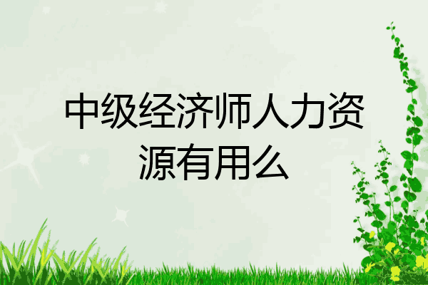 中级经济师人力资源有用么