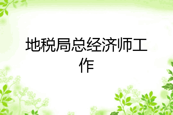地税局总经济师工作