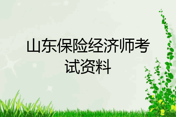 山东保险经济师考试资料