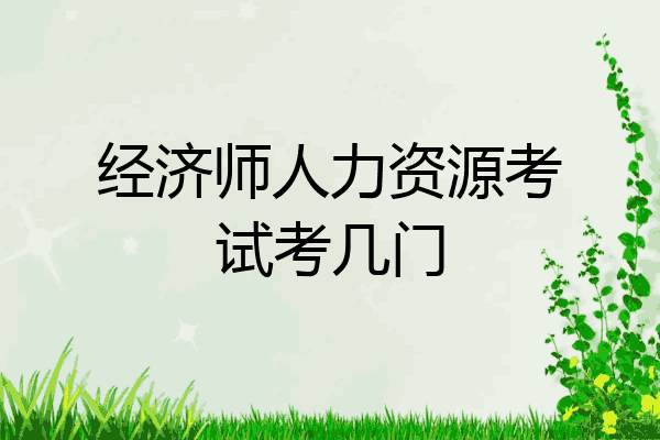 经济师人力资源考试考几门