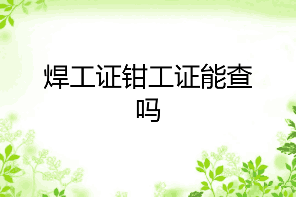 焊工证钳工证能查吗