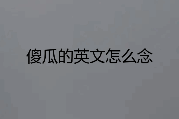 傻瓜的英文怎么念