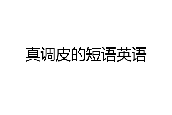 真调皮的短语英语