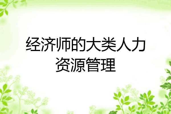 经济师的大类人力资源管理