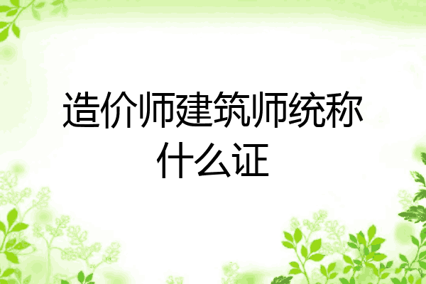 造价师建筑师统称什么证