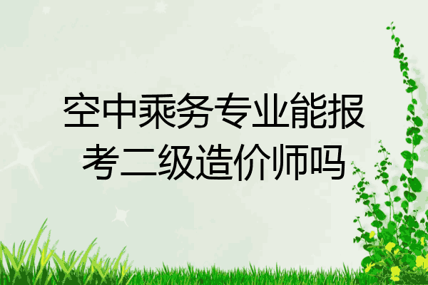 空中乘务专业能报考二级造价师吗