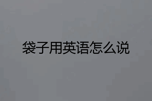 袋子用英语怎么说