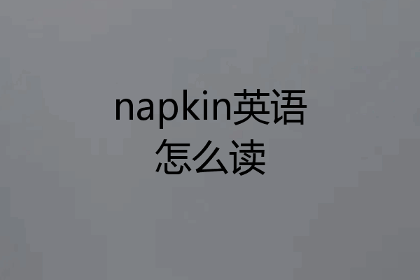napkin英语怎么读
