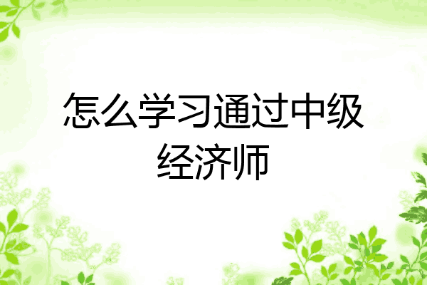 怎么学习通过中级经济师