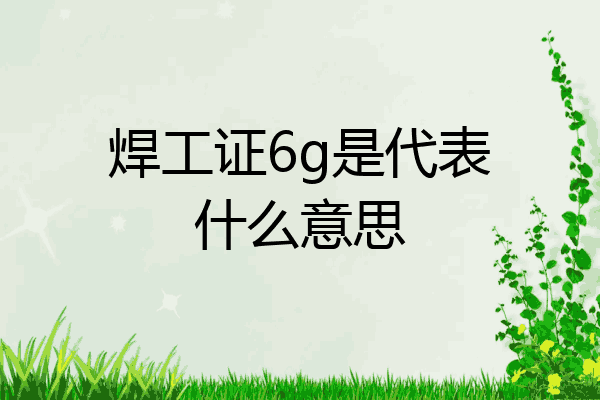 焊工证6g是代表什么意思