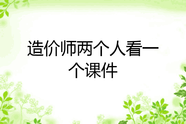 造价师两个人看一个课件