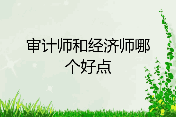 审计师和经济师哪个好点