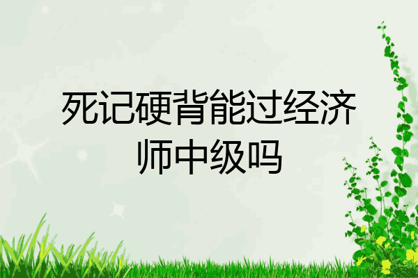 死记硬背能过经济师中级吗