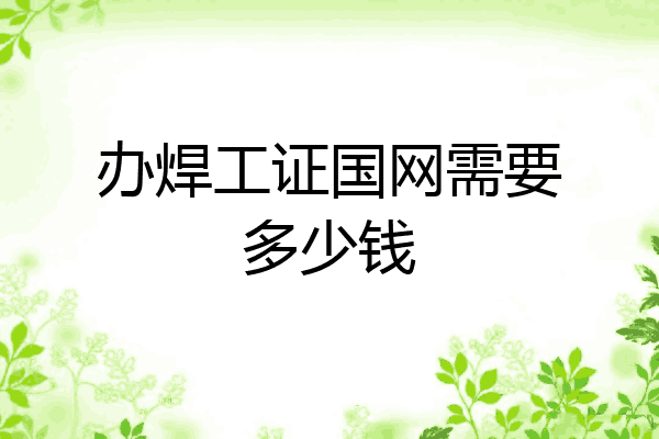 办焊工证国网需要多少钱