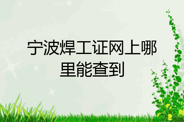 宁波焊工证网上哪里能查到