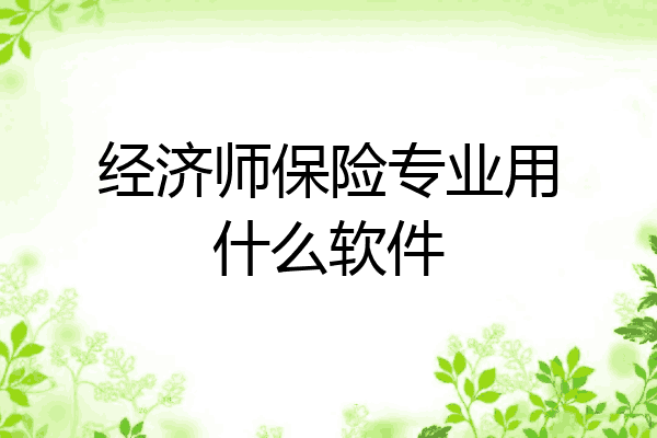 经济师保险专业用什么软件